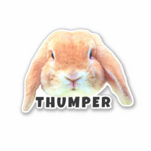 Upload Your Pet Bunny Face and Name Personalized Sticker
