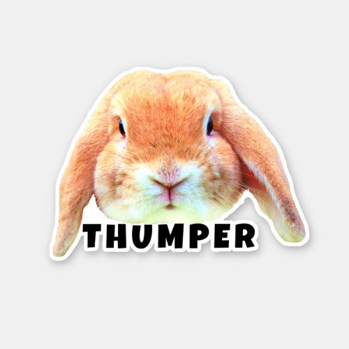 Upload Your Pet Bunny Face and Name Personalized Sticker