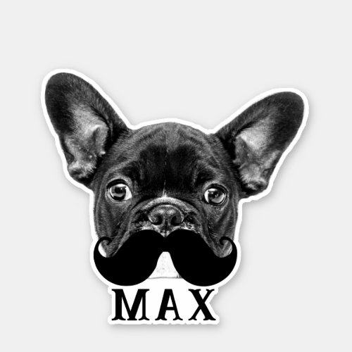 Upload Your Pet Face Photo  Name Fun Mustache Sticker
