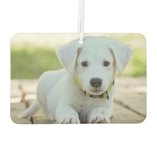 Upload Your Pet Photo Car Air Freshener