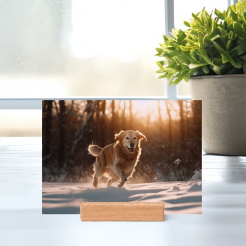 Upload Your Pet Photo Dog Cat Picture Holder