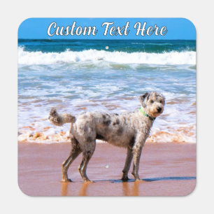 Upload Your Pet Photo Metal Signs Add Text Name