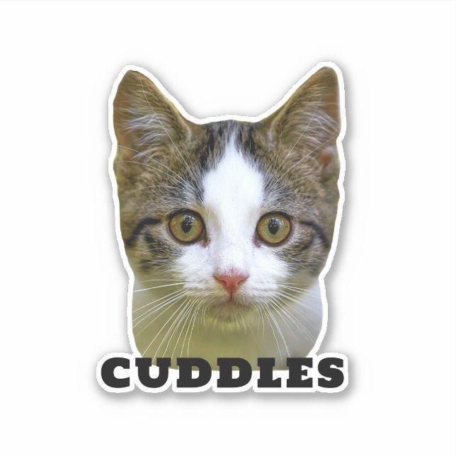 Upload Your Pet Photo & Name Personalized Sticker (Front)