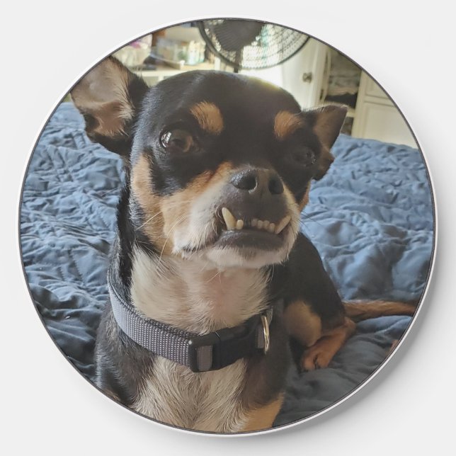 Upload Your Pet Photo to this  Wireless Charger (Front)