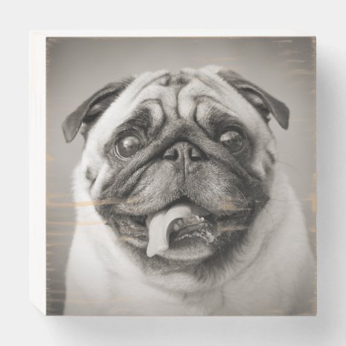 Upload Your Photo  Custom Pet Photo Wooden Box Sign