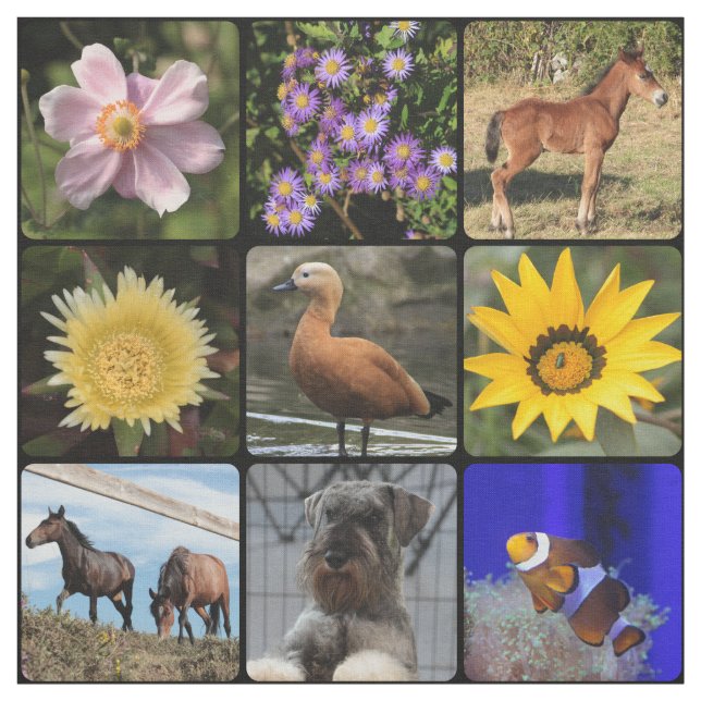 Upload your photo fabric (Swatch)