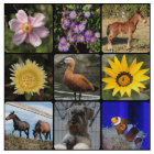 Upload your photo