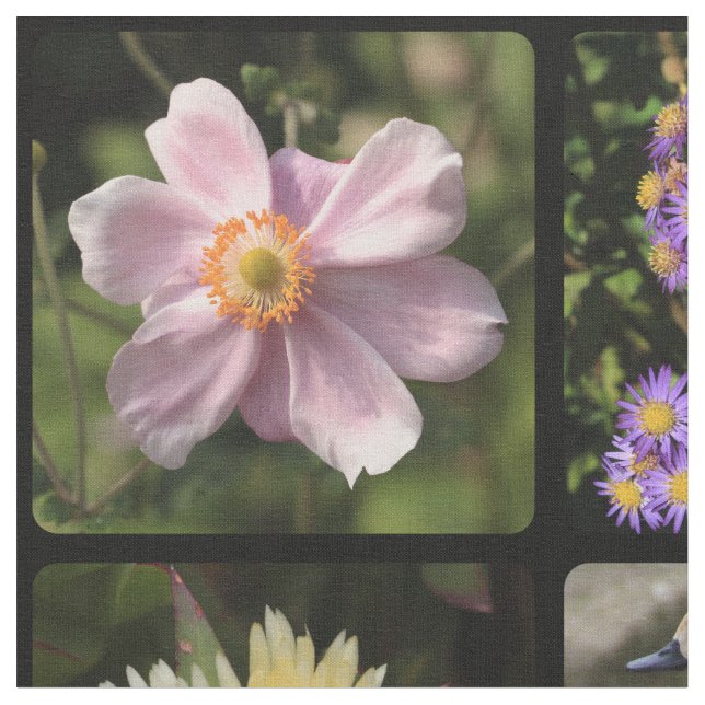 Upload your photo fabric (Close Up)