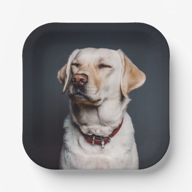 Upload your photo paper plates (Front)