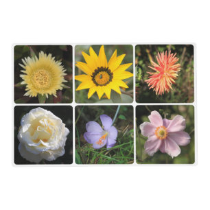 Upload your photo placemat