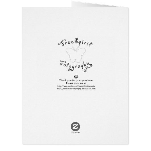 Upper Crystal Creek Falls (Back)