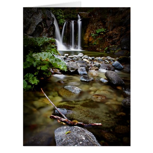 Upper Crystal Creek Falls Cards (Front)