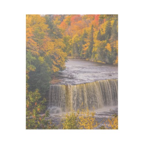 Upper Falls with Fall Colors Gallery Wrap