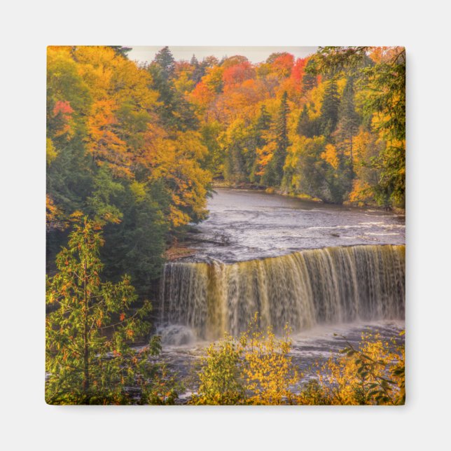 Upper Falls with Fall Colors Magnet (Front)