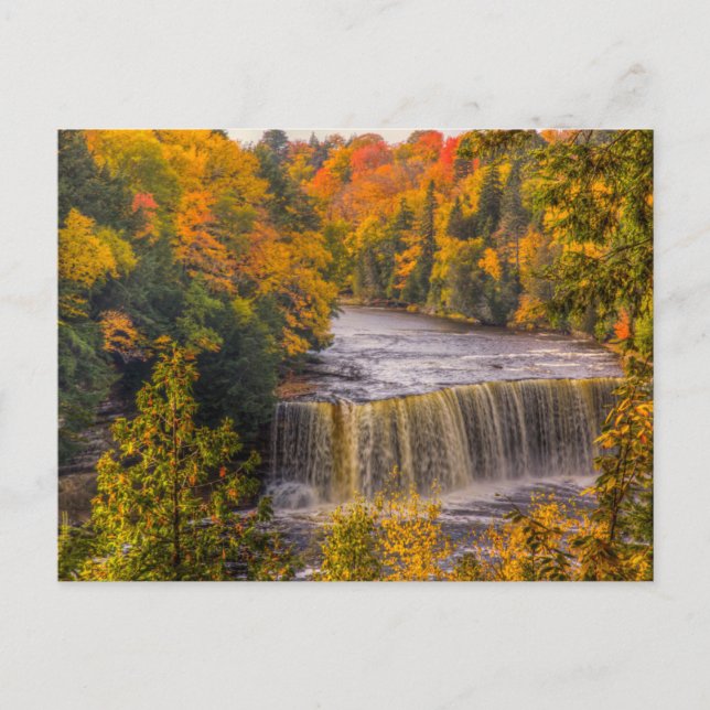 Upper Falls with Fall Colors Postcard (Front)