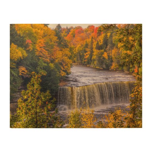 Upper Falls with Fall Colors Wood Wall Art