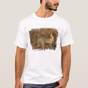 Upper Mara, Masai Mara Game Reserve, Kenya, T-Shirt