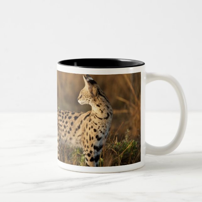 Upper Mara, Masai Mara Game Reserve, Kenya, Two-Tone Coffee Mug (Right)
