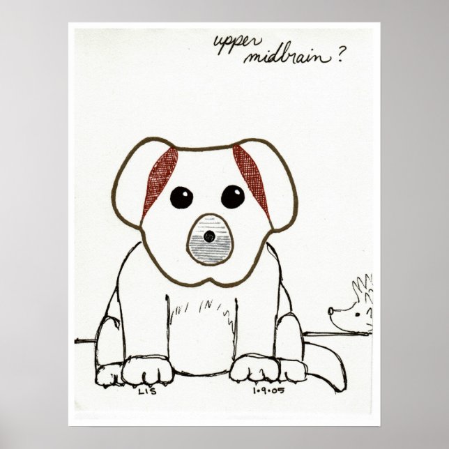 Upper Midbrain print (Front)