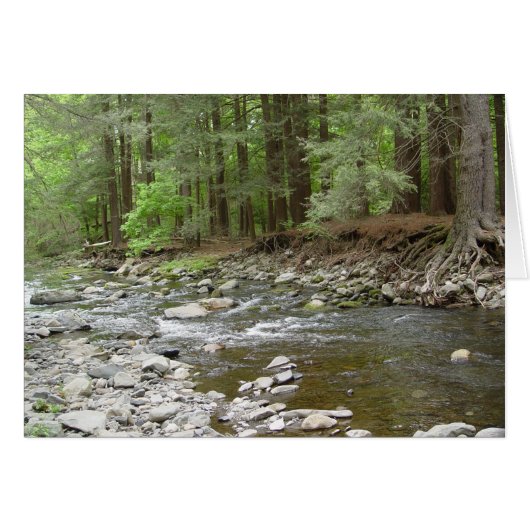 Upper Raymondskill Falls Cards (Front Horizontal)