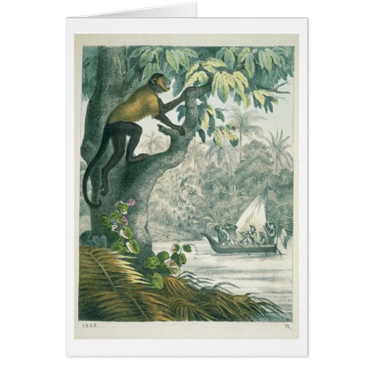 Upper reaches of the Amazon, from 'Das Buch der We Cards (Front)