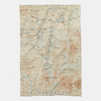 Upper Saranac Lake Detail from Old Topographic Map Kitchen Towel