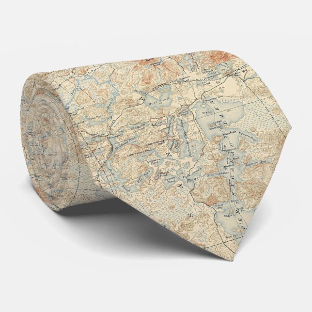 Upper Saranac Lake Detail from Old Topographic Map Neck Tie (Rolled)