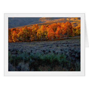 "Upper Summer Meadow"