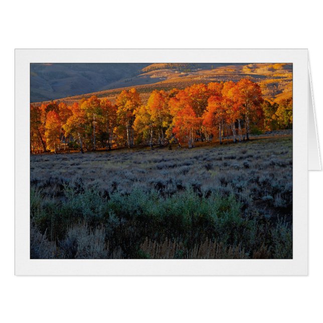 "Upper Summer Meadow" Cards (Front Horizontal)