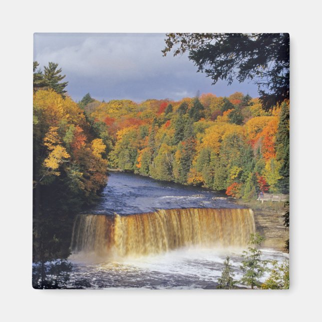 Upper Tahquamenon Falls in UP Michigan in autumn Magnet (Front)