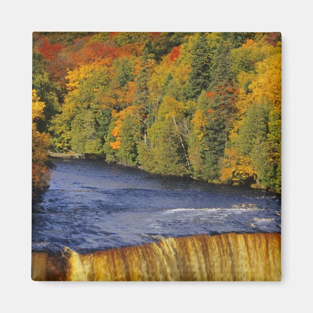 Upper Tahquamenon Falls in UP Michigan in Magnet (Front)