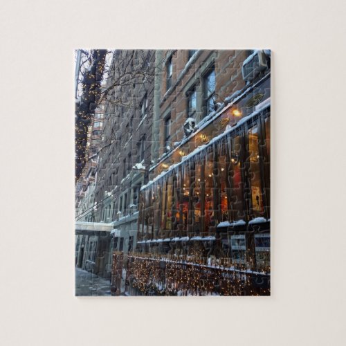 Upper West Side Icicles New York City Winter NYC Jigsaw Puzzle