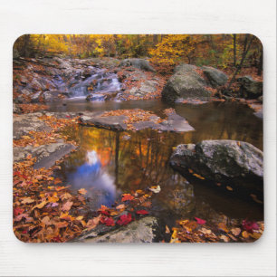 Upper Whiteoak Falls, Shenandoah National Park, VA Mouse Pad