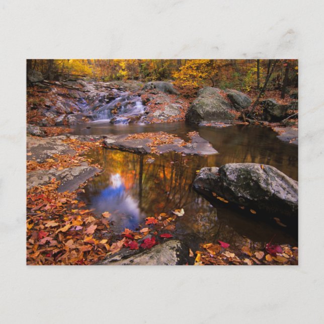 Upper Whiteoak Falls, Shenandoah National Park, VA Postcard (Front)