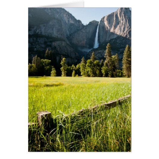 Upper Yosemite Falls Cards (Front)