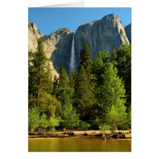 Upper Yosemite Falls, Merced River, Yosemite Cards (Front)