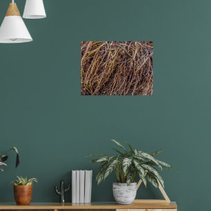 Uprooted 2 Print, Poster Paper (Semi-Gloss)