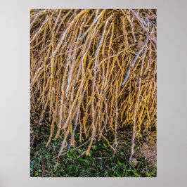 Uprooted 6 Print, Poster Paper (Semi-Gloss)