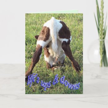 Ups & Downs-customize Card by MakaraPhotos at Zazzle