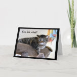 Upset Tabby Cat Card at Zazzle