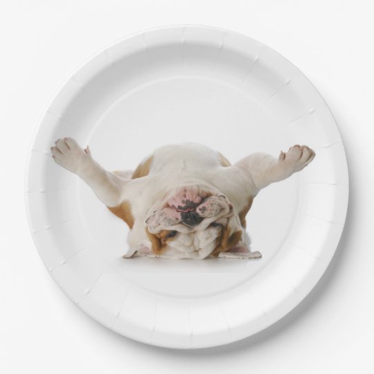 Upside Down Bulldog Paper Plates