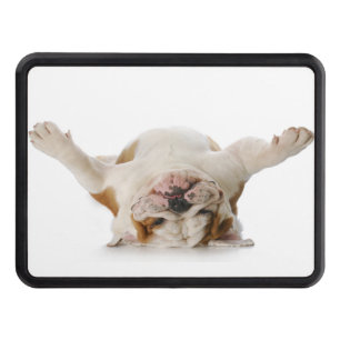 Upside Down Bulldog Trailer Hitch 2" Hitch Cover
