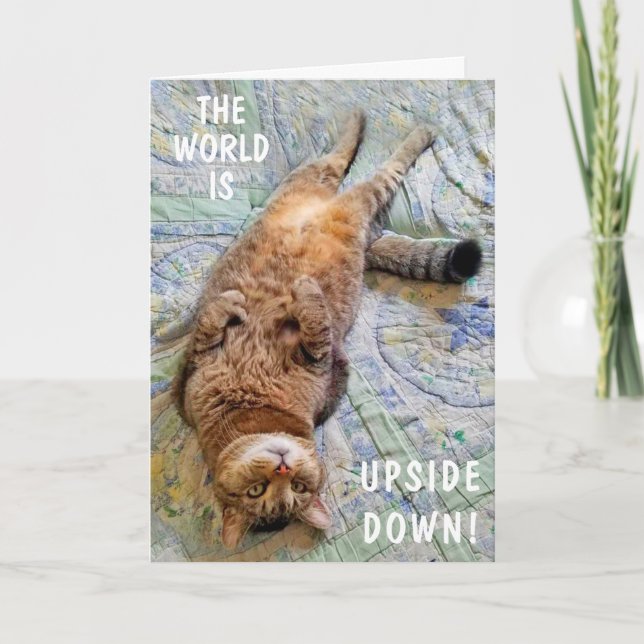 Upside Down Cat Miss You Card (Front)
