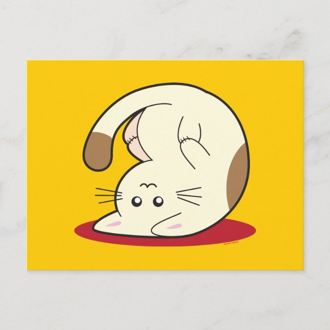 Upside Down Cat Postcard (Front)