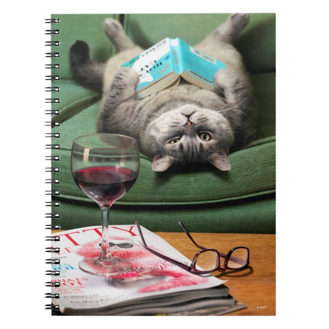 Upside Down Cat Reading Book (Front)