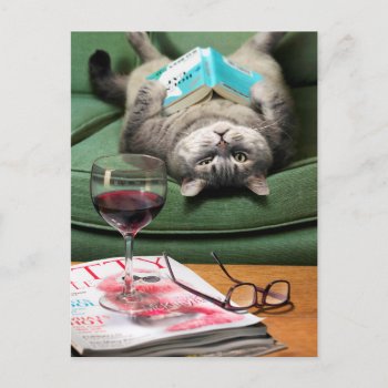 Upside Down Cat Reading Book Invitation Postcard by AvantiPress at Zazzle