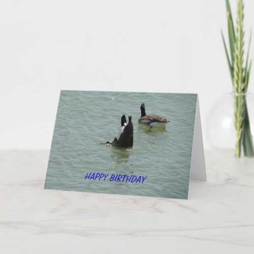 Upside Down Goose Birthday Card