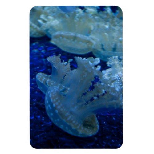 Upside Down Jellyfish Premium Flexi Magnet