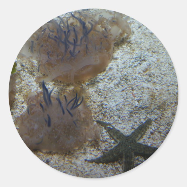 Upside-down Jellyfish Stickers (Front)