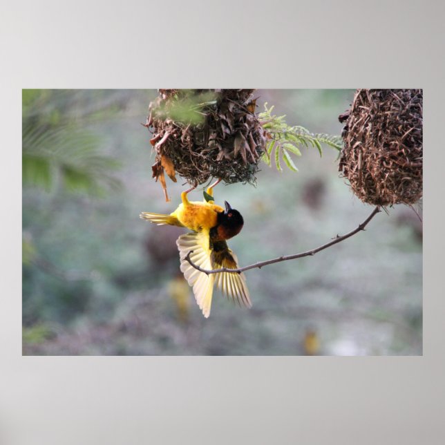 Upside down poster (Front)